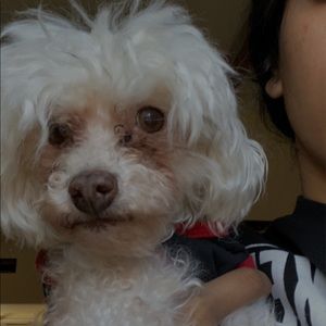 Meet your Posher, Jacquelyn